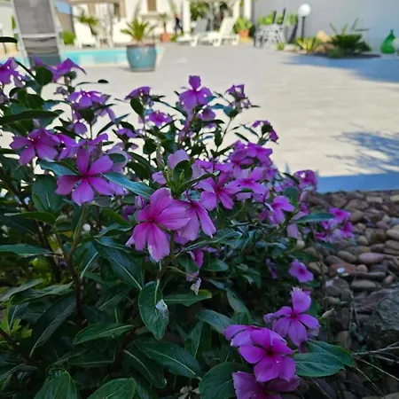 Villa Giulia *